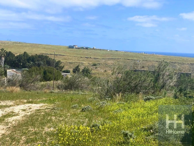Terreno para Venda em Porto Santo Foto 9