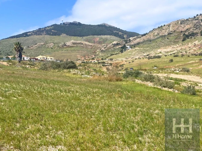 Terreno para Venda em Porto Santo Foto 11