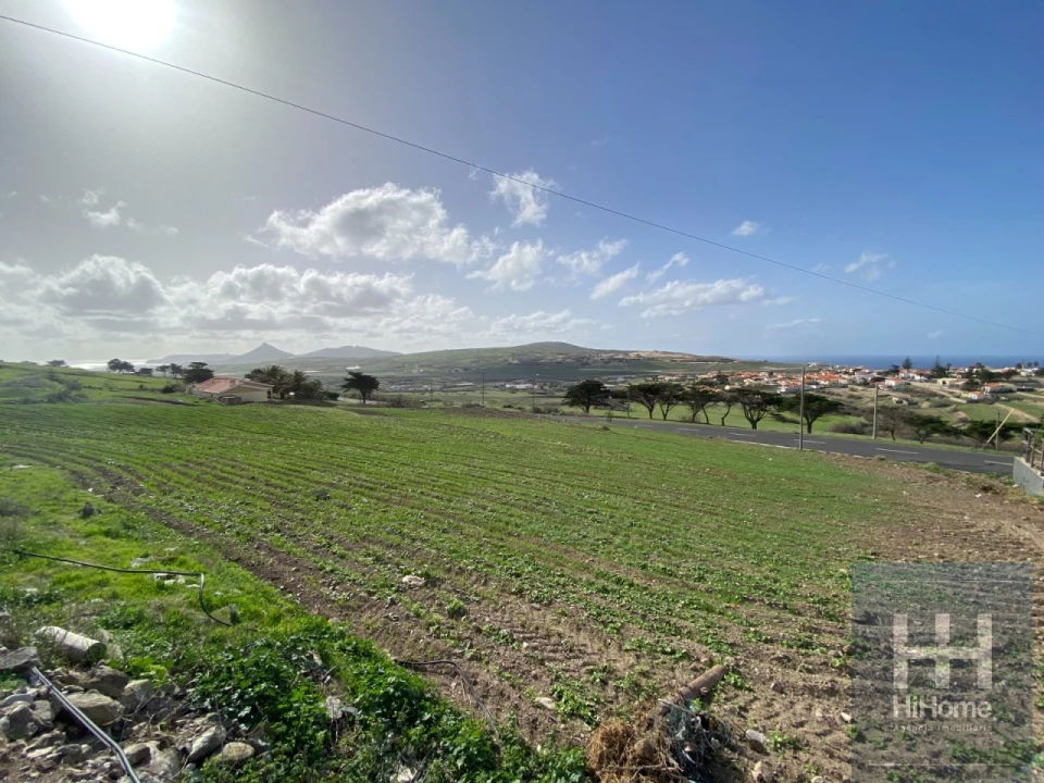 Terreno para Venda em Porto Santo Foto 1