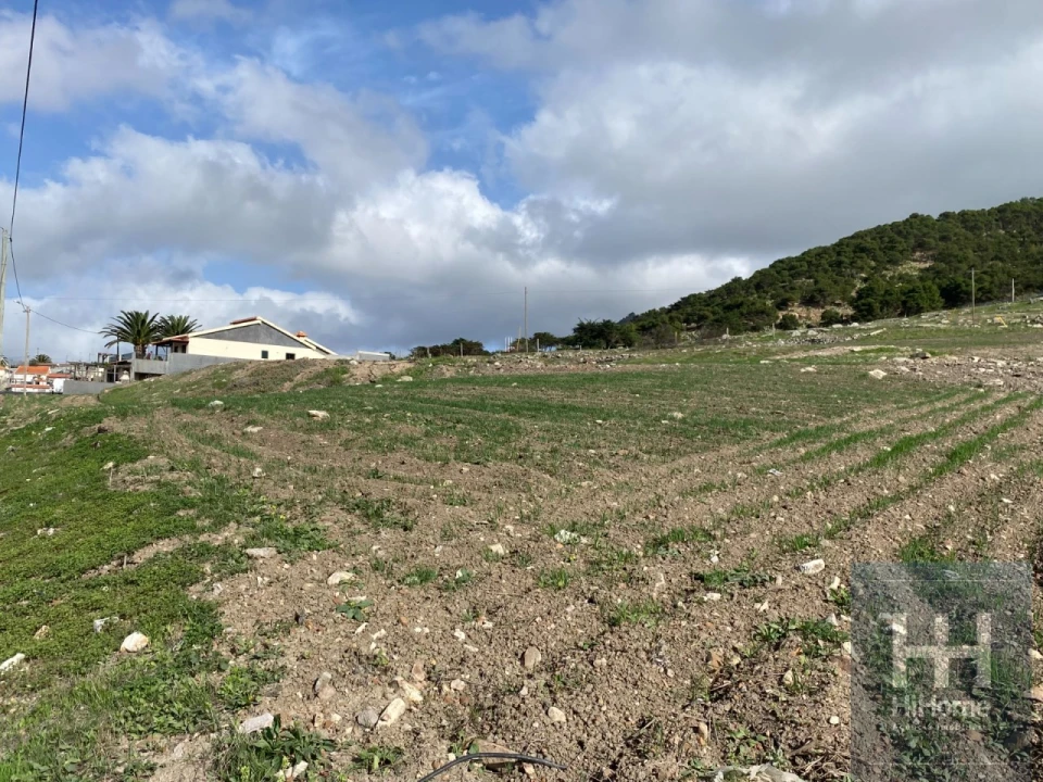 Terreno para Venda em Porto Santo Foto 7
