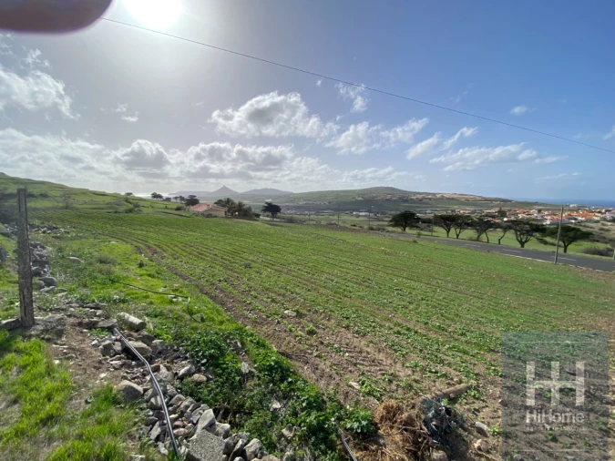 Terreno para Venda em Porto Santo Foto 5