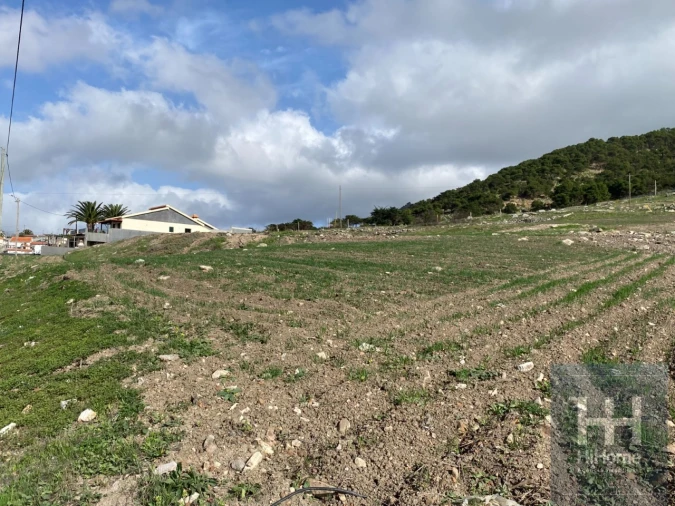 Terreno para Venda em Porto Santo Foto 7