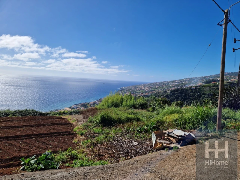 Terreno para Venda em Santa Cruz Foto 4