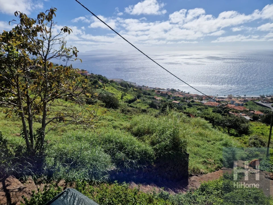 Terreno para Venda em Santa Cruz Foto 3