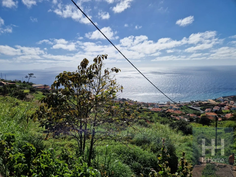 Terreno para Venda em Santa Cruz Foto 5