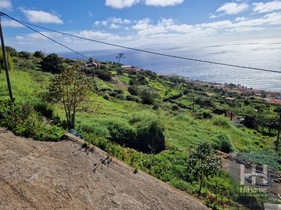 Terreno para Venda em Santa Cruz Foto 6