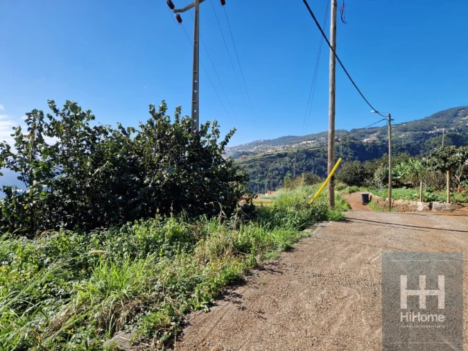 Terreno para Venda em Santa Cruz Foto 2