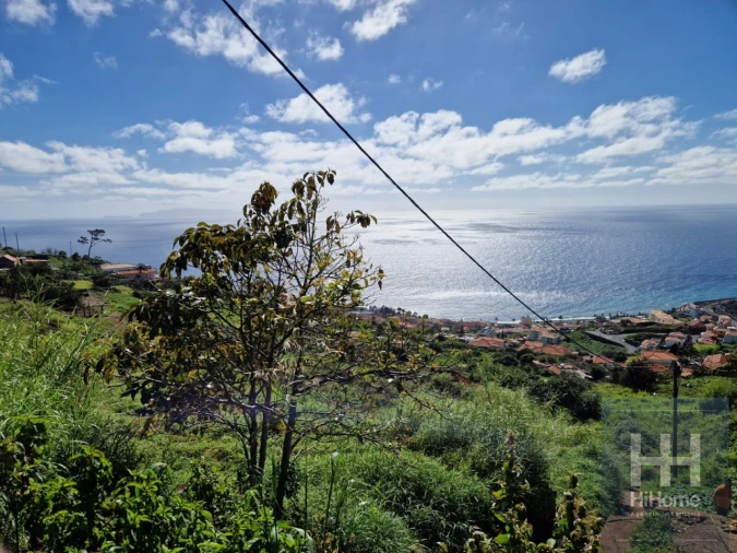 Terreno para Venda em Santa Cruz Foto 5