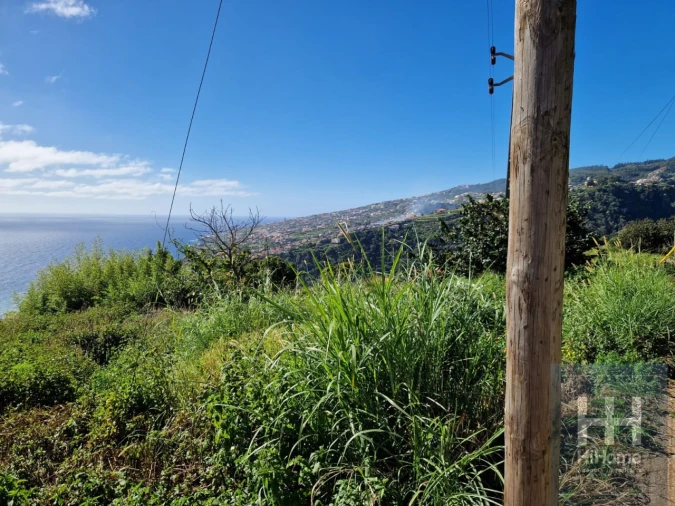 Terreno para Venda em Santa Cruz Foto 7