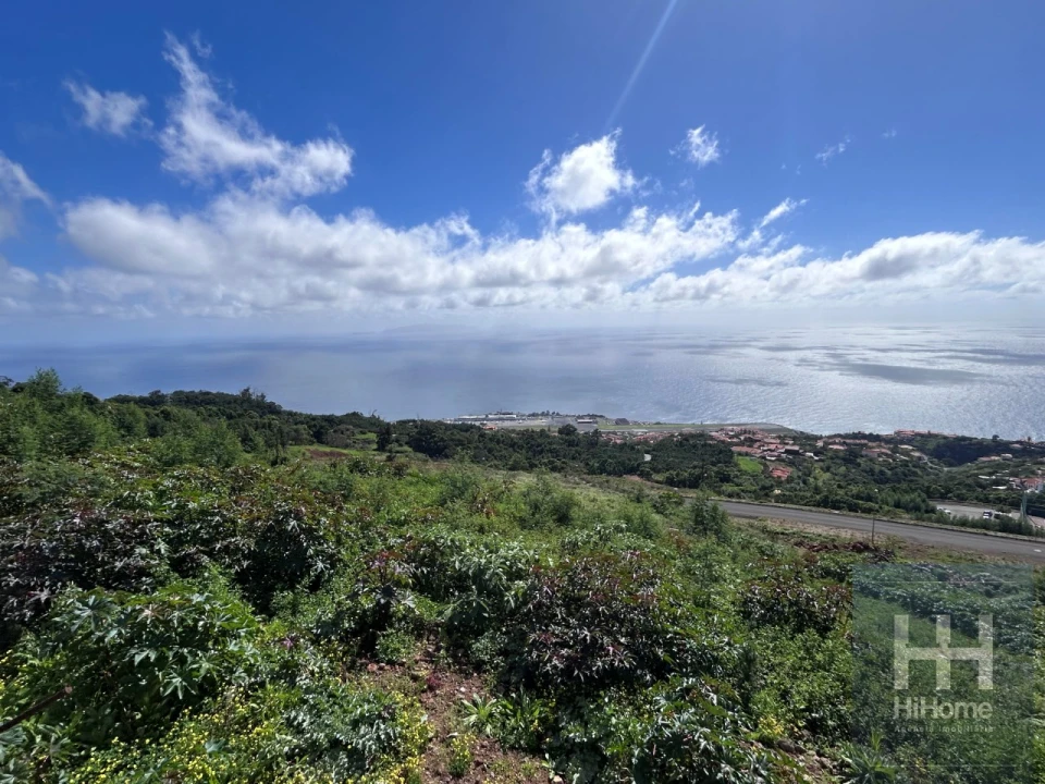 Terreno para Venda em Santa Cruz Foto 6