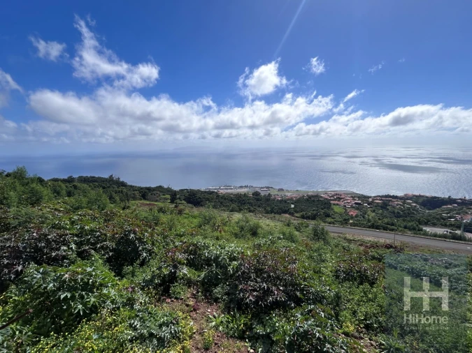 Terreno para Venda em Santa Cruz Foto 6