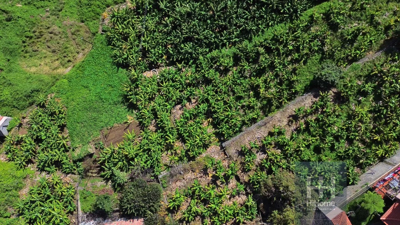 Terreno para Venda em Ribeira Brava Foto 6