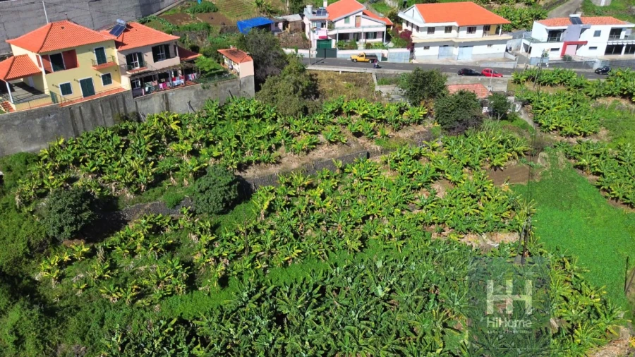 Terreno para Venda em Ribeira Brava Foto 8