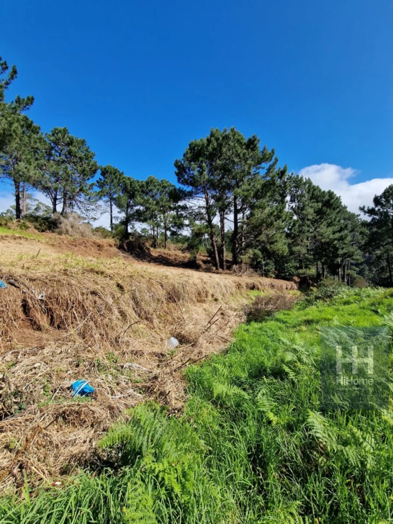 Terreno para Venda em Fajã da Ovelha Foto 19