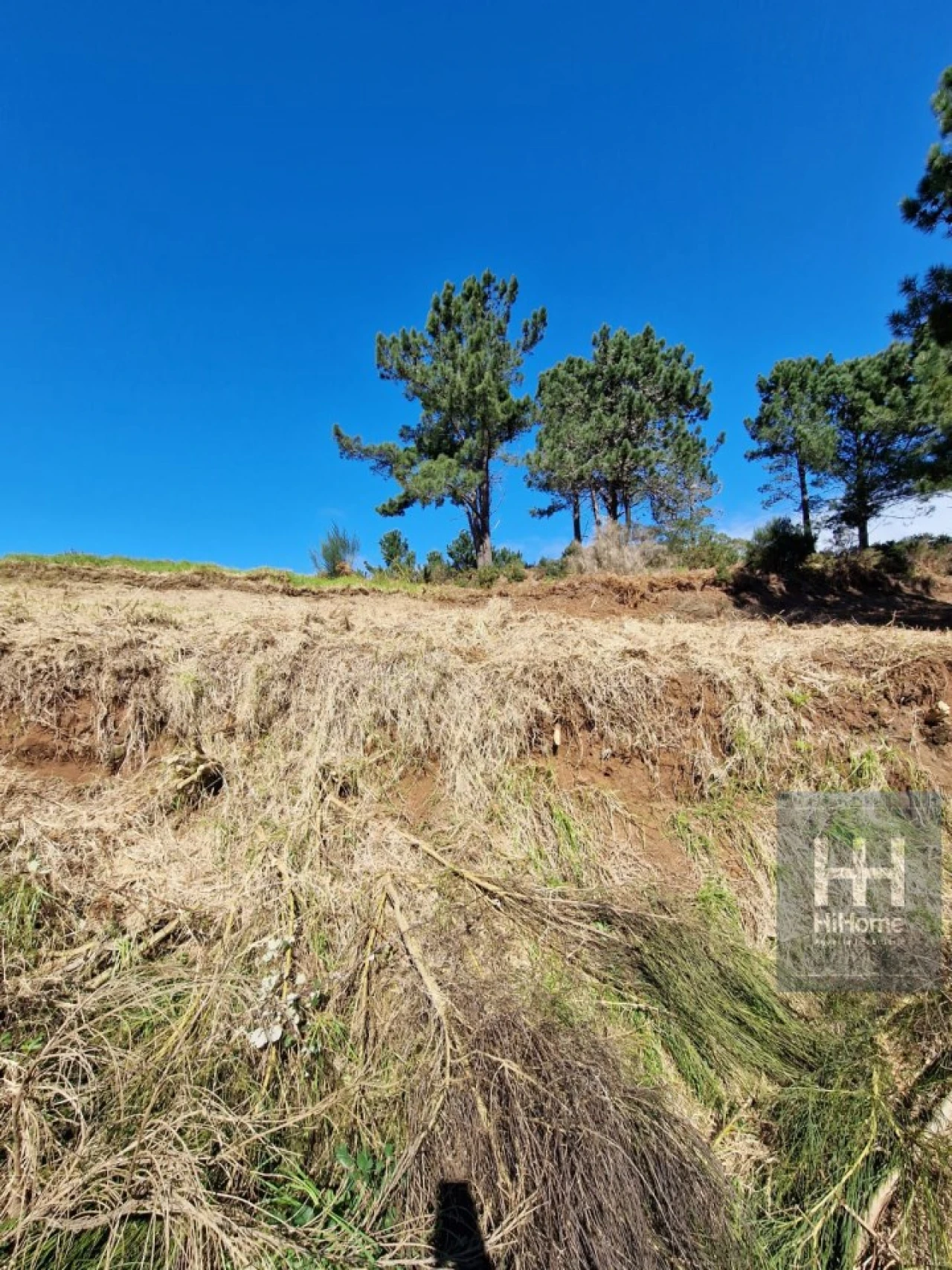 Terreno para Venda em Fajã da Ovelha Foto 21