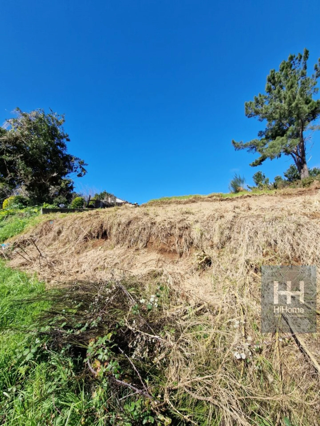 Terreno para Venda em Fajã da Ovelha Foto 25