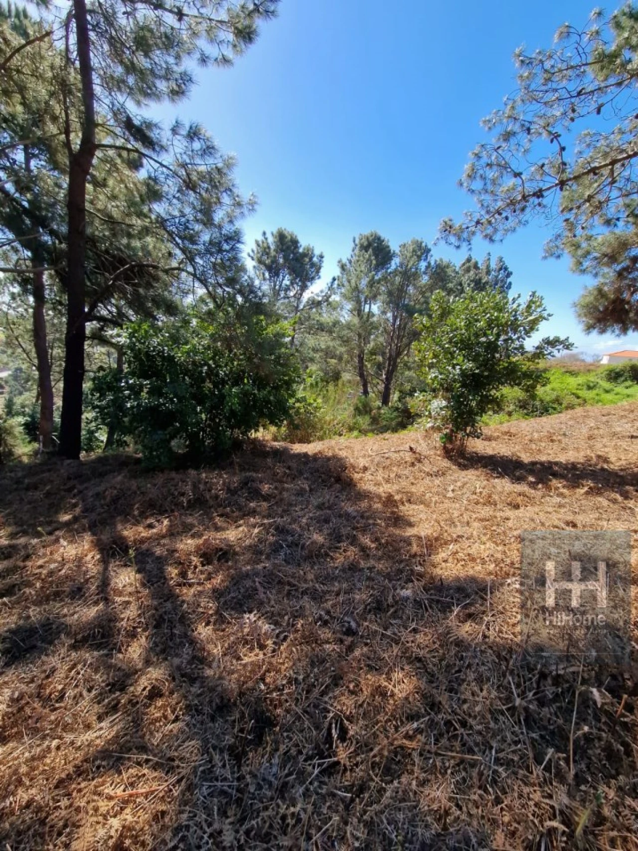 Terreno para Venda em Fajã da Ovelha Foto 33