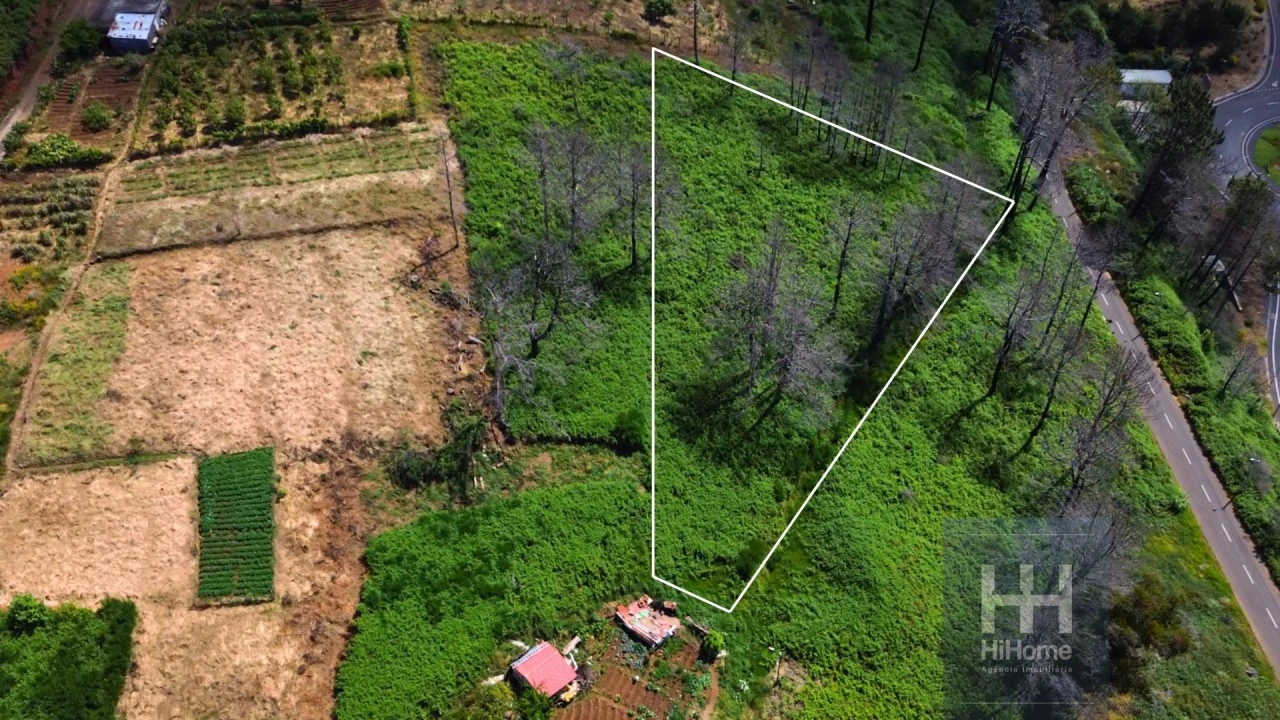 Terreno para Venda em Fajã da Ovelha Foto 1