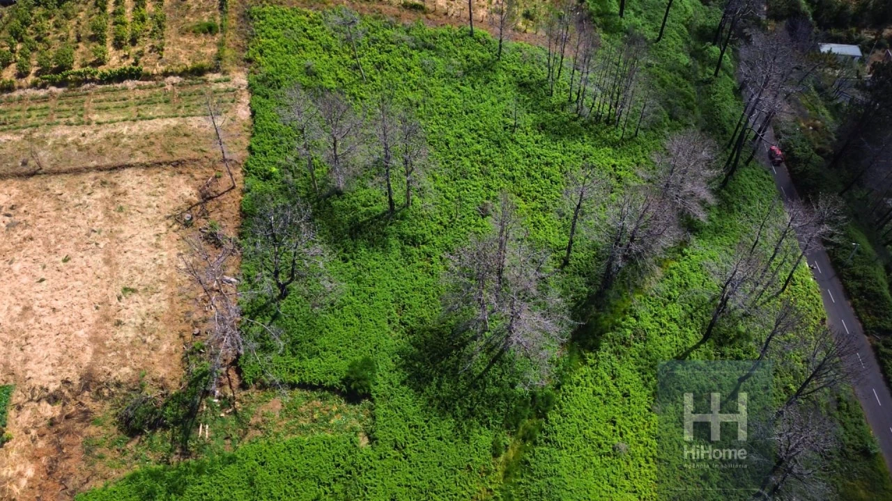 Terreno para Venda em Fajã da Ovelha Foto 3