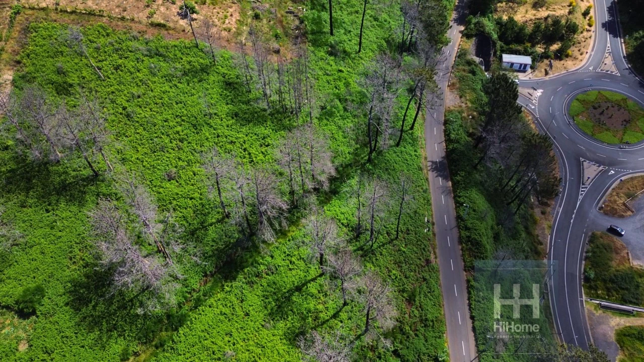 Terreno para Venda em Fajã da Ovelha Foto 4