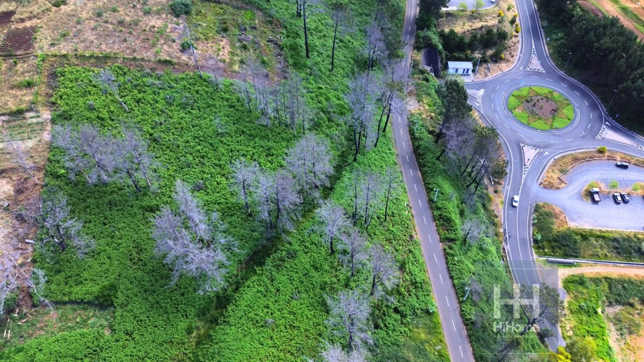 Terreno para Venda em Fajã da Ovelha Foto 8