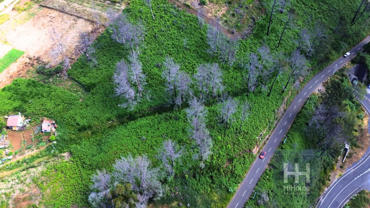 Terreno para Venda em Fajã da Ovelha Foto 9