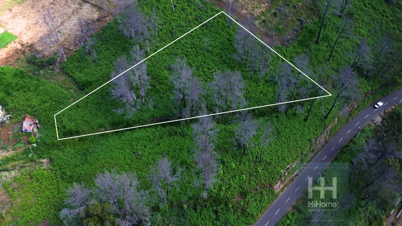 Terreno para Venda em Fajã da Ovelha Foto 10