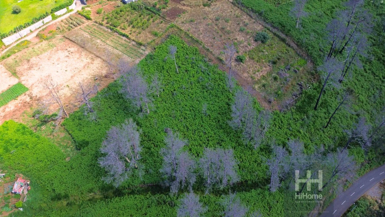 Terreno para Venda em Fajã da Ovelha Foto 12