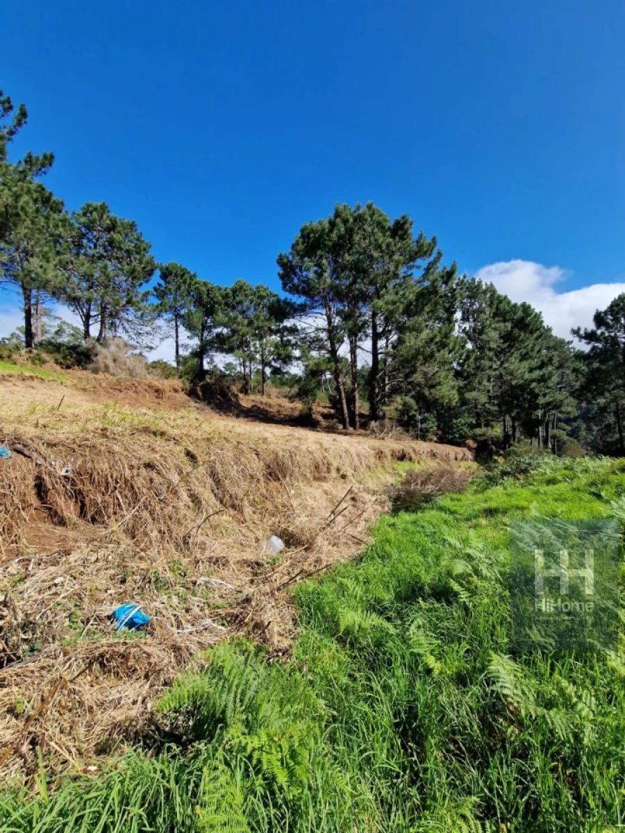 Terreno para Venda em Fajã da Ovelha Foto 19