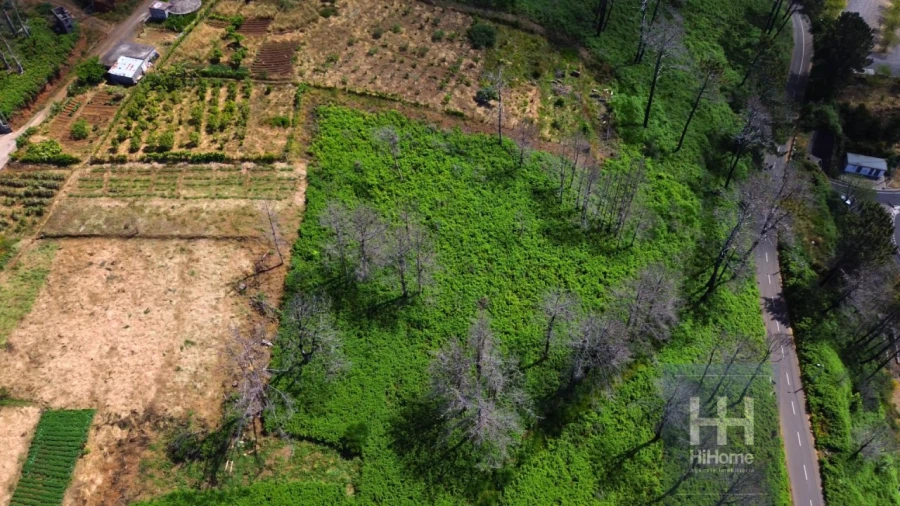 Terreno para Venda em Fajã da Ovelha Foto 2