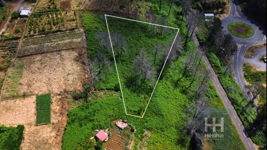 Terreno para Venda em Fajã da Ovelha Foto 7