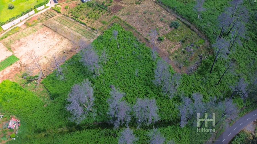 Terreno para Venda em Fajã da Ovelha Foto 12