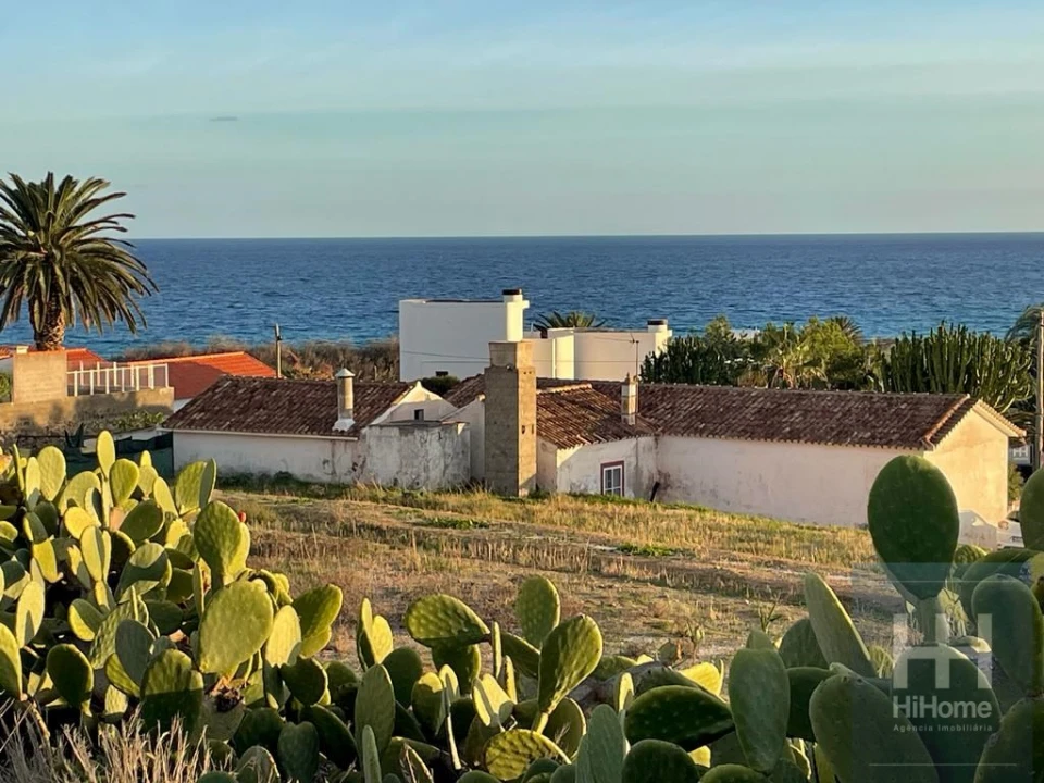 Terreno para Venda em Porto Santo Foto 18