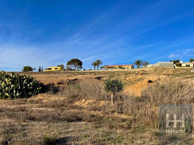 Terreno para Venda em Porto Santo Foto 15