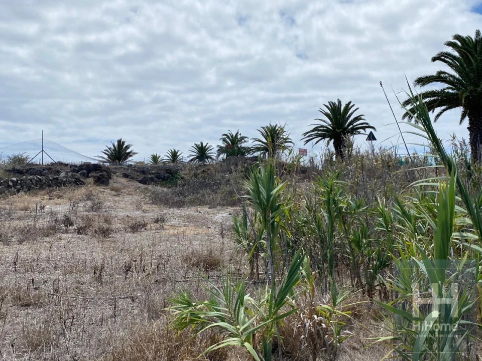 Terreno para Venda em Porto Santo Foto 16