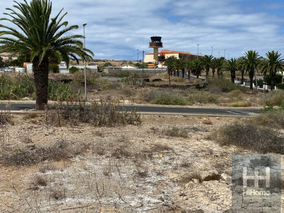 Terreno para Venda em Porto Santo Foto 3