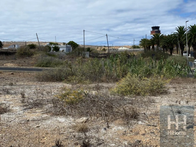 Terreno para Venda em Porto Santo Foto 12