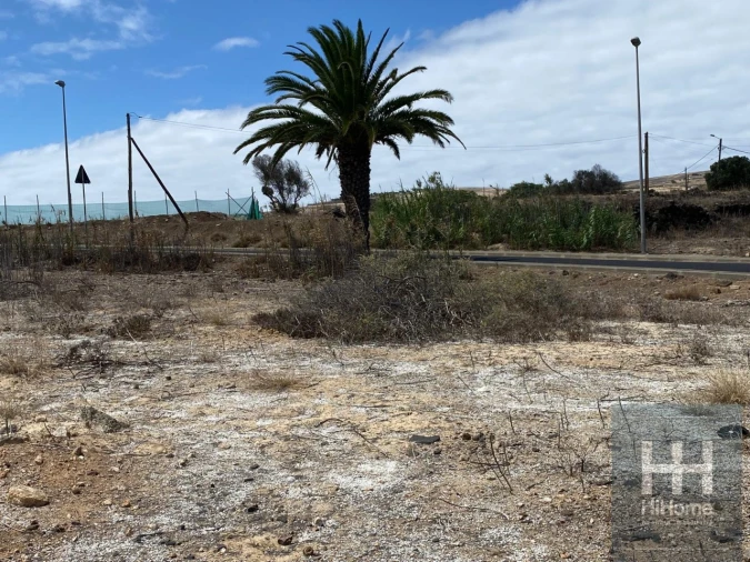 Terreno para Venda em Porto Santo Foto 13