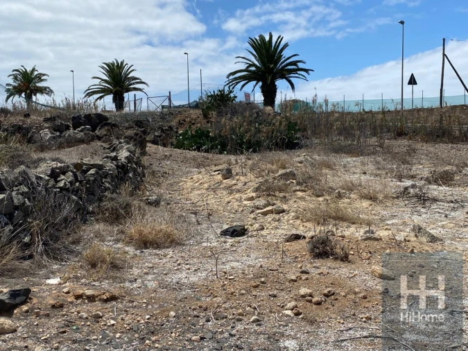 Terreno para Venda em Porto Santo Foto 14