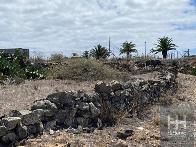 Terreno para Venda em Porto Santo Foto 15