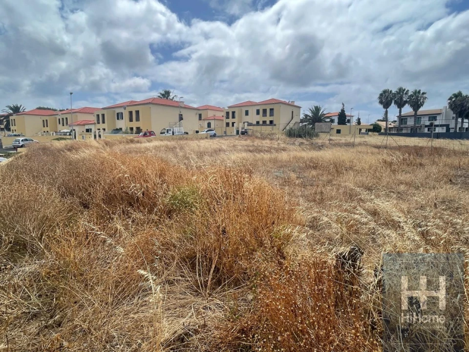 Terreno para Venda em Porto Santo Foto 8