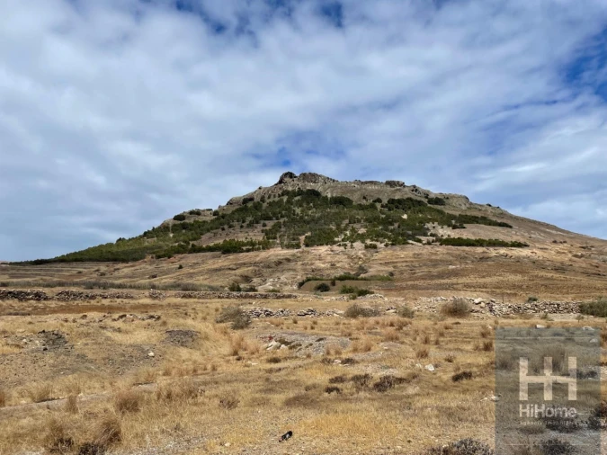 Terreno para Venda em Porto Santo Foto 2