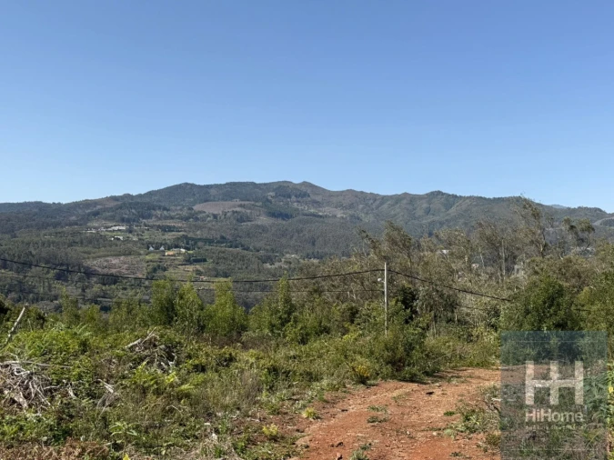 Terreno para Venda em Santo Antonio da Serra Foto 3
