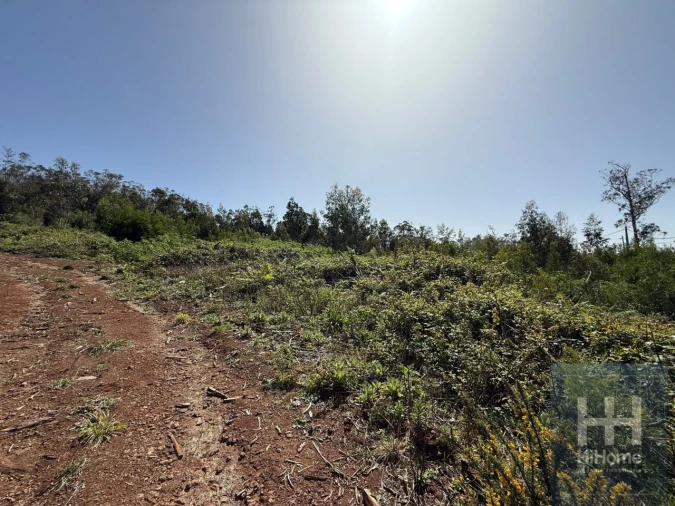 Terreno para Venda em Santo Antonio da Serra Foto 5