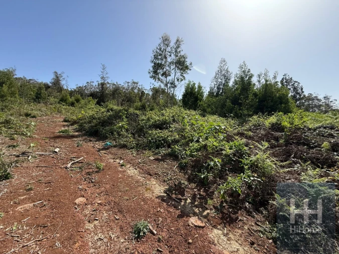 Terreno para Venda em Santo Antonio da Serra Foto 6