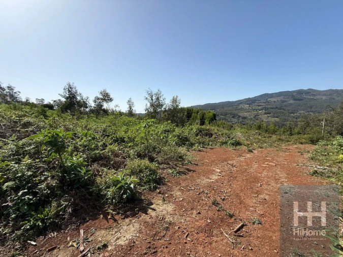 Terreno para Venda em Santo Antonio da Serra Foto 7