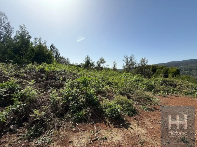 Terreno para Venda em Santo Antonio da Serra Foto 8