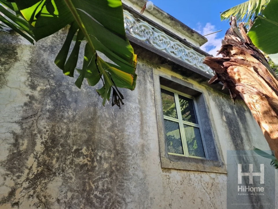 Terreno para Venda em Madalena do Mar Foto 11