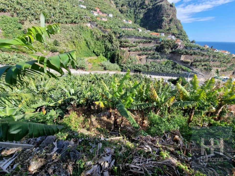 Terreno para Venda em Madalena do Mar Foto 21