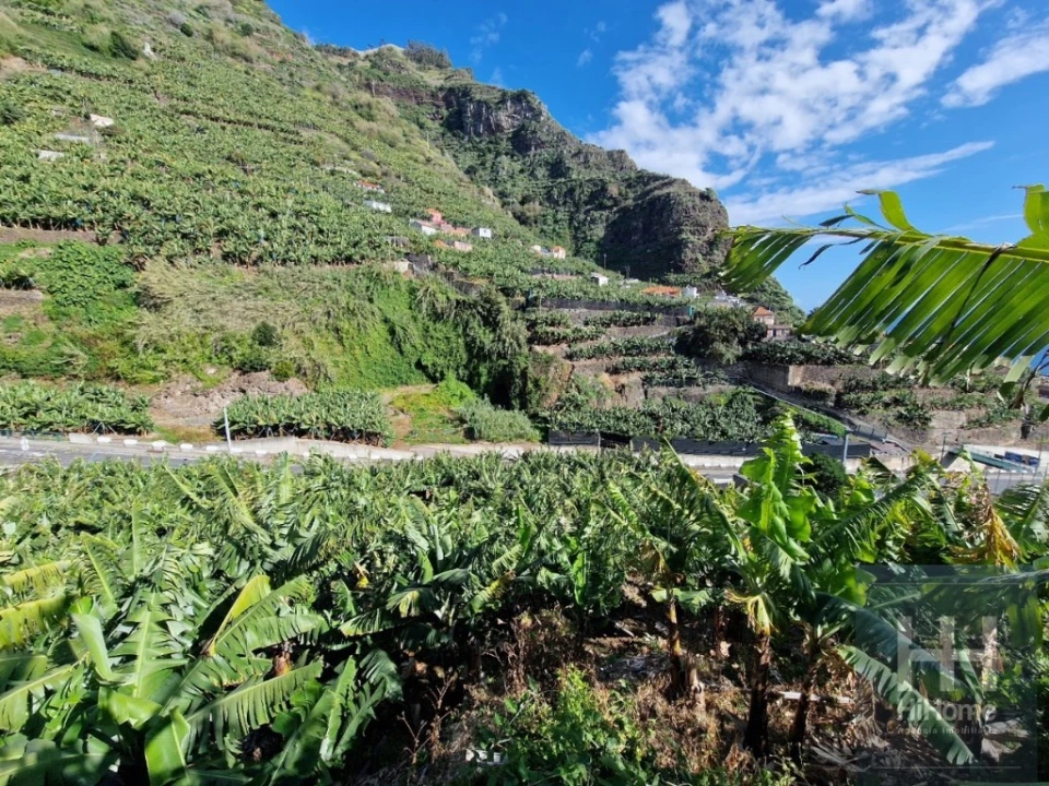 Terreno para Venda em Madalena do Mar Foto 22